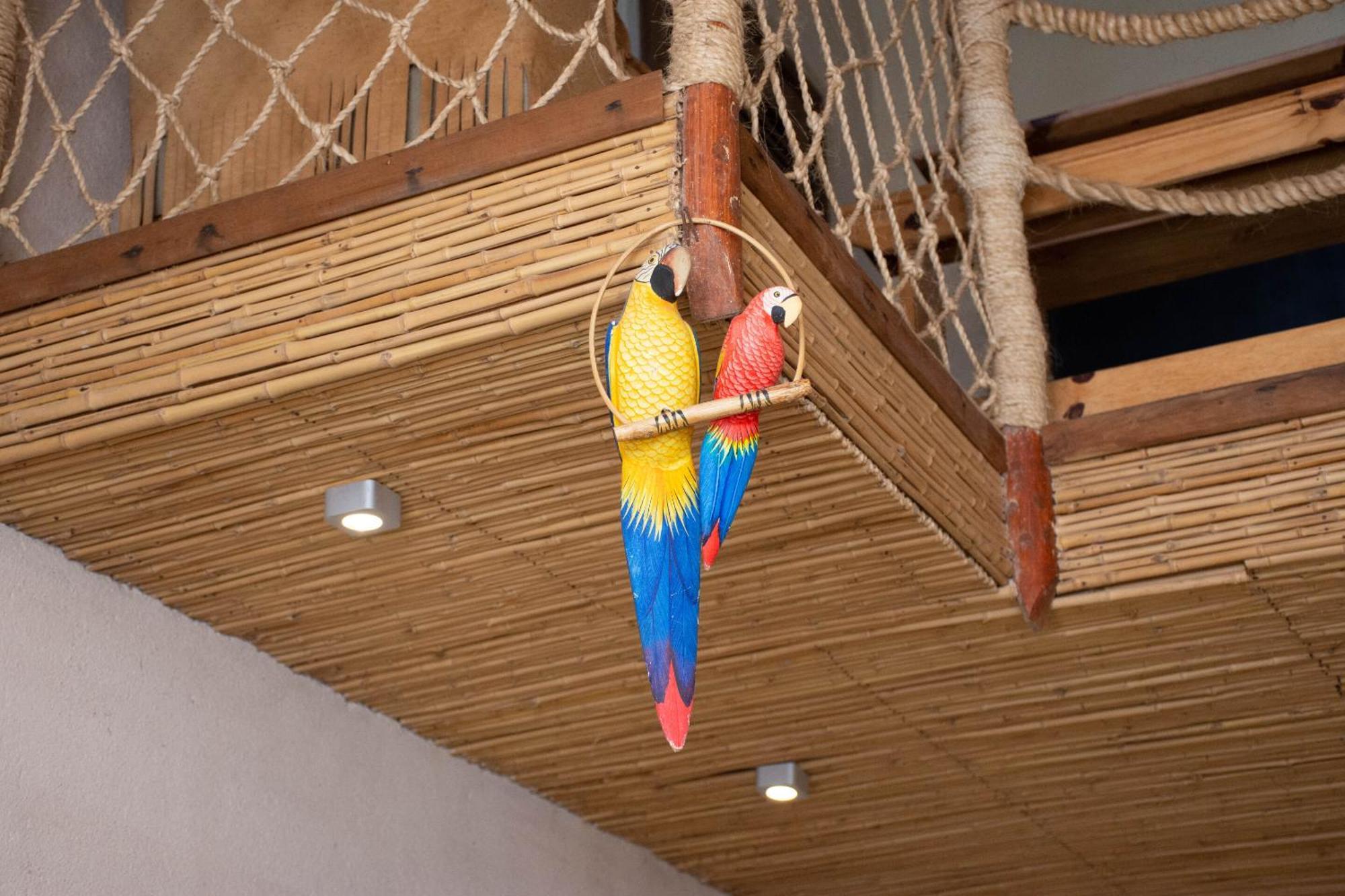Bed and Breakfast Demeure De La Compagnie Generale Des Huiles Precieuses Ifaty Zimmer foto